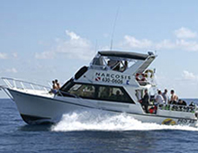 Diving in Florida with Narcosis cruises