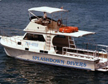 Diving South Florida with Splashdown Divers