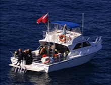 Scuba Dive Florida on walker's Dive Charter