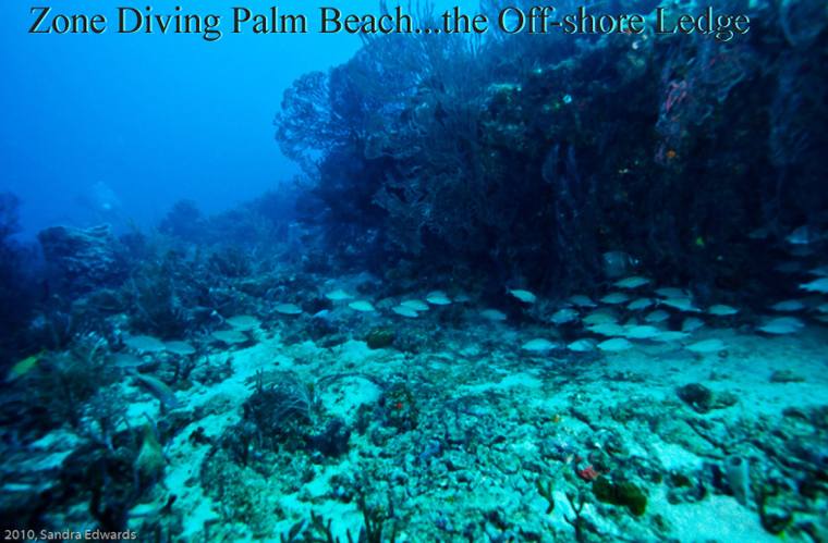 Diving in your zone