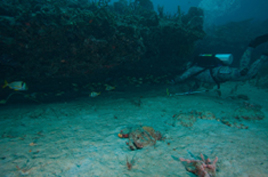 Diving in your zone