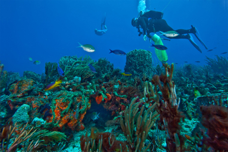 Diving in your zone