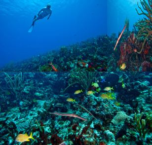Diving in your zone