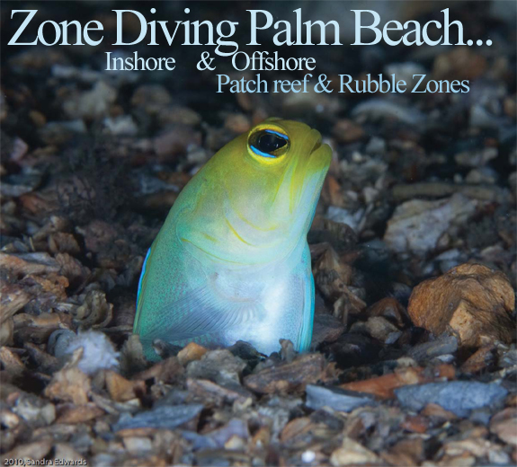 Diving in your zone