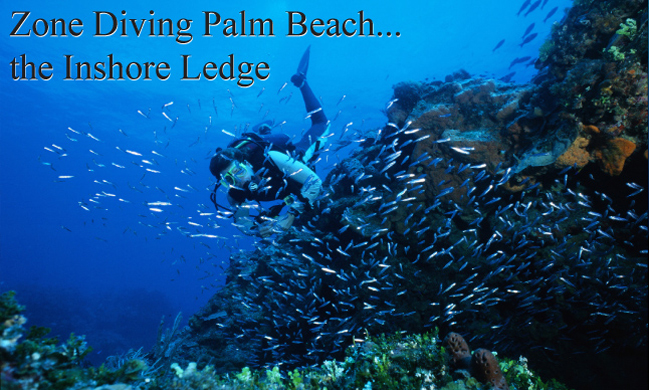 Finding Your Dive Issue