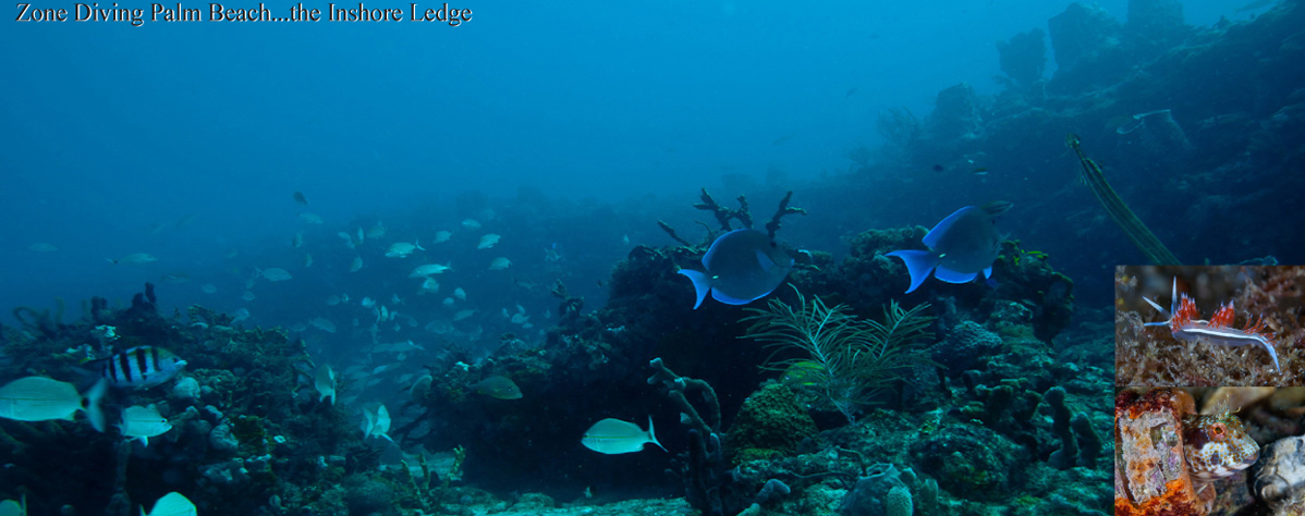 Diving in your zone