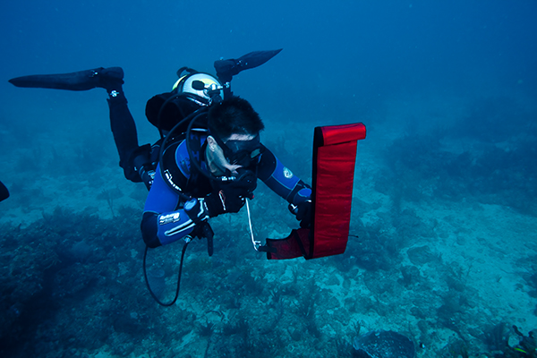 Great Dive Classes...