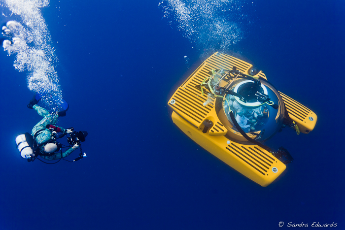 Race to the Bottom of the Sea3