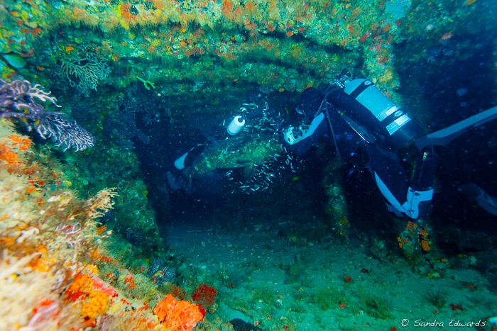 Great Dive Classes...