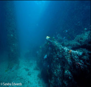Tooka Diving